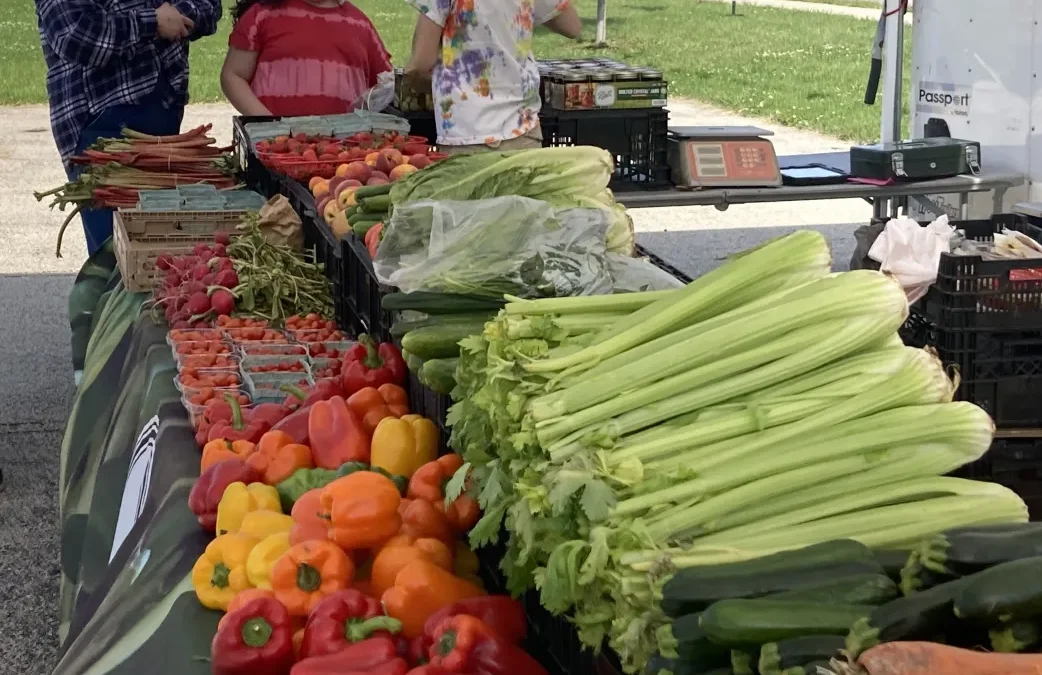 Chicago Tribune: Larger farmers market opens in new Waukegan location; ‘It’s good to see all this here’
