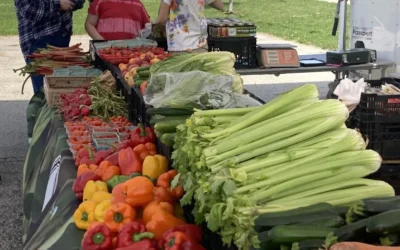 Chicago Tribune: Larger farmers market opens in new Waukegan location; ‘It’s good to see all this here’